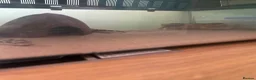 Boa Snake reptiles for sale: Kenyan Sand Boa Snake  in Weymouth - Advert 5