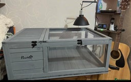 Hermann Tortoise reptiles for sale: Herman’s tortoise for sale  - Image 7