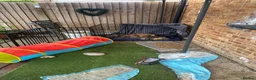 Mixed Breed dogs for sale: Puppy’s  - Advert 1