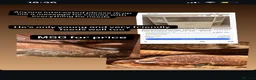 Python Snake reptiles for sale: Royal python  in Chesterfield - Advert 2