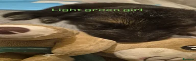 Light green girl 