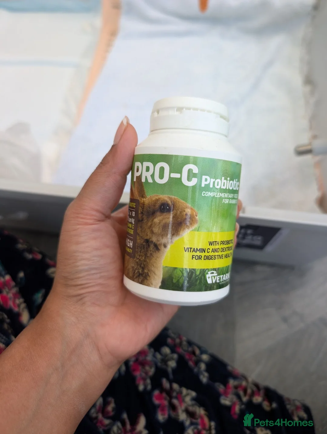Guinea Pig rodents for sale: 2 female Guinea pigs  in Dartford - Advert 2