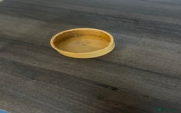 Leopard Gecko reptiles for sale: Male leopard gecko and all equipment  - Image 12