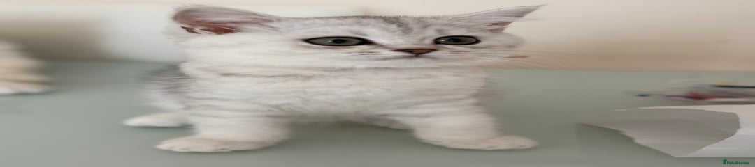 Rosie
