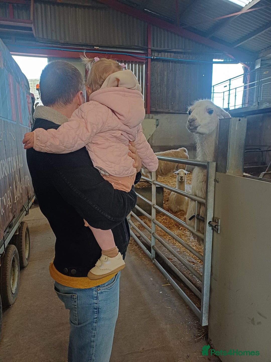 Gallery Image {{count}}