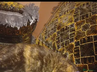 Mixed Breed cats Four new kittens - Advert 2