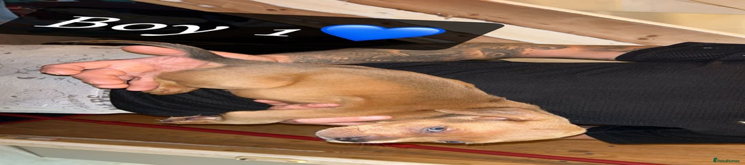 Boy 1