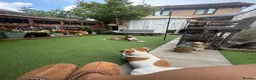 Mixed Breed dogs for sale: Moroccan female dog  - Advert 3