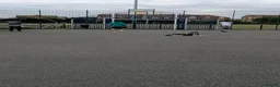 Siberian Husky dogs for stud: Husky Stud  - Advert 20