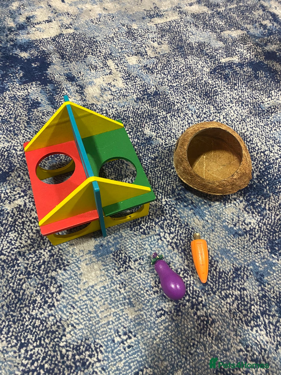 Hamster rodents for sale: Russian White Dwarf Hamster (and belongings!) - Advert 8