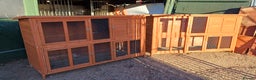 Mixed Breed rabbits for sale: 2 pets at home rabbit hutches  - Advert 1