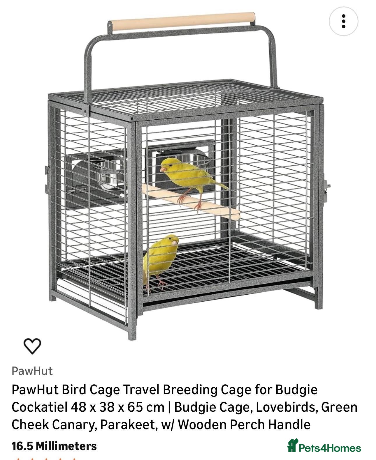 Budgerigars birds 4 Young healthy budgies for sale - Advert 2