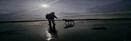 Lurcher dogs for sale: Loki - 5 year old lurcher boy in Holyhead - Advert 10