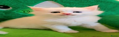 BOY 1