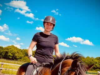 New Forest horses - Advert 1