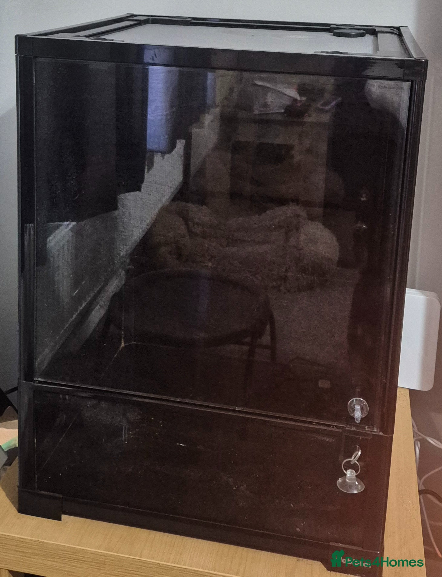 Gecko reptiles Habistat aboreal terrarium   - Advert 6