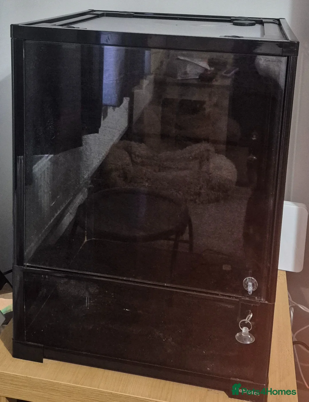 Gecko reptiles for sale: Habistat aboreal terrarium   - Advert 1