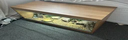 Leopard Gecko reptiles for sale: Full set up with Female Mack snow leopard gecko - Advert 7