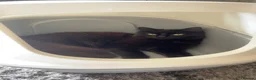 Domestic Shorthair cats for sale: Longhair black cat - Advert 2