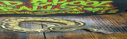 Python Snake reptiles for sale: Leopard butter pastel het desert ghost  - Advert 3