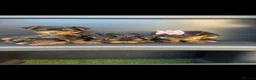 Yorkshire Terrier dogs for sale: Yorkie Biewer - Advert 12