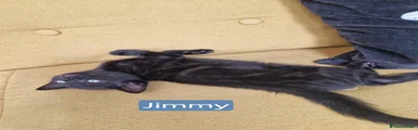 Jimmy