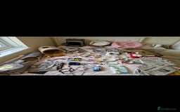 Ferret rodents for sale: 2 Male Albino Ferrets With Everything  - Image 2