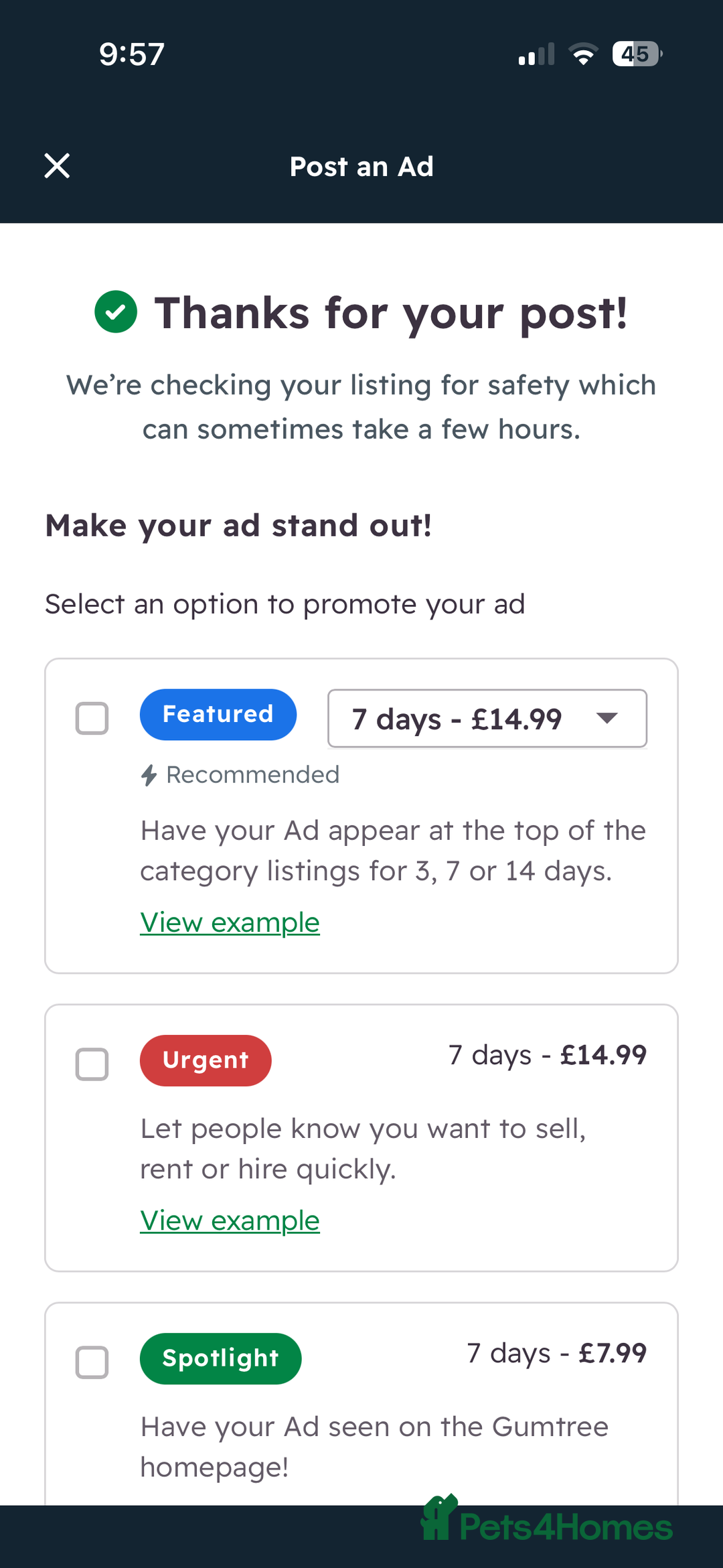 Cockapoo dogs for sale: Cockapoo puppies  - Advert 7