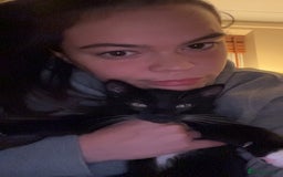 Mixed Breed cats for sale: 2 Sweet Black & White Boy Kittens (Ready to Go) - Image 16