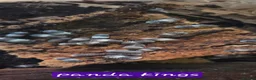 Isopods invertebrates for sale: Various ispods  - Advert 5