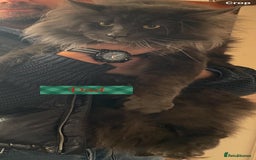 Maine Coon cats for sale: ✨pedigree maine coon kittens - Extra Large lines ✨ - Advert 8