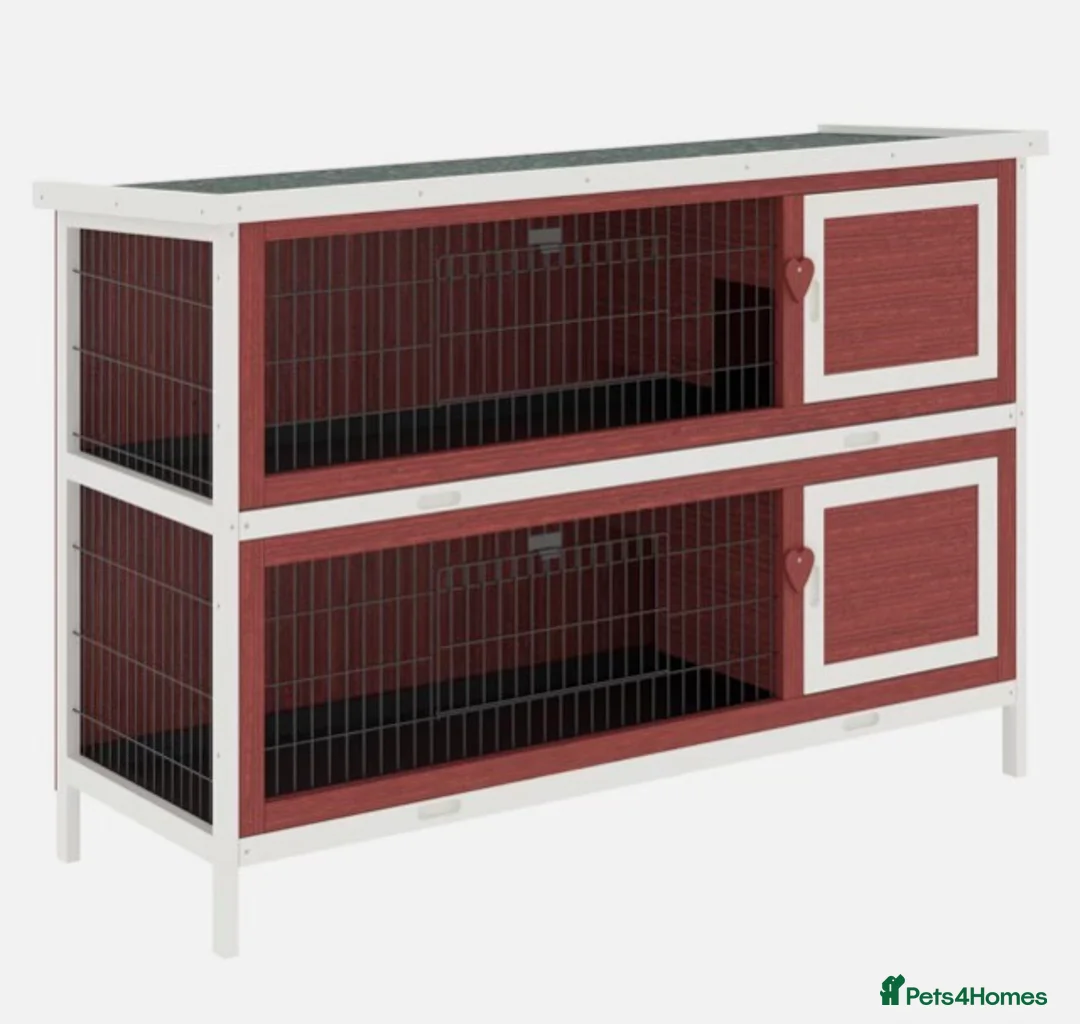 Quail poultry for sale: QUAIL HUTCH ! - Advert 3