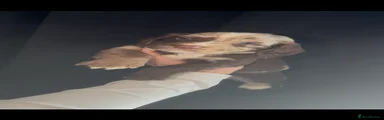 Cocker Spaniel Puppy 1