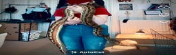 Boa Snake reptiles for sale: 6FT Boa + Setup for rehome - Advert 1