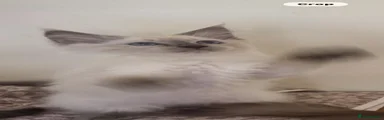 Ragcoon 2