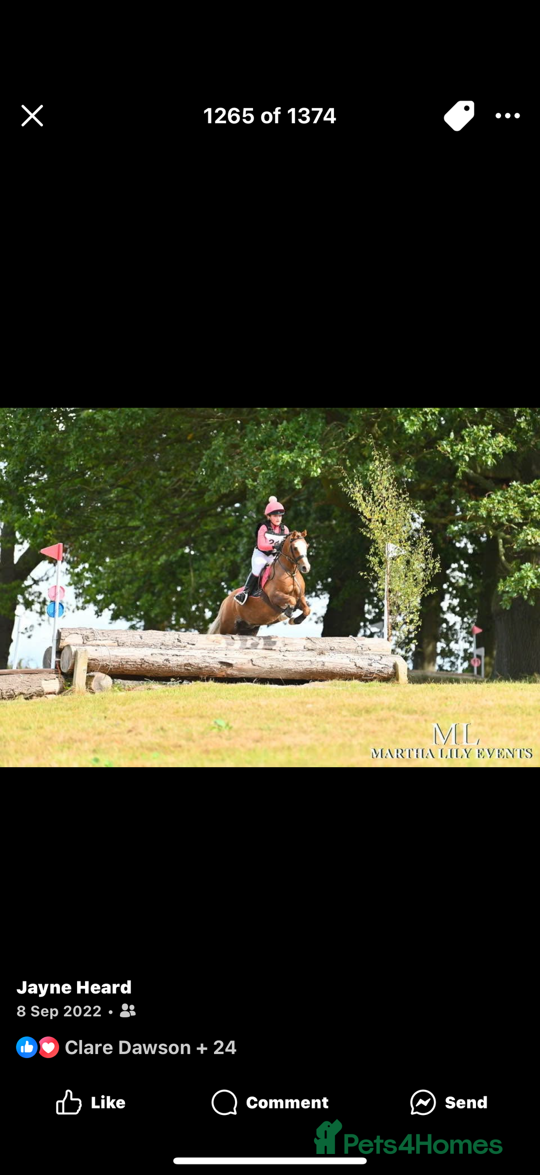 Welsh Section B horses for sale: 🎀Bunbury Zianna aka Annie 🎀 - Image 15