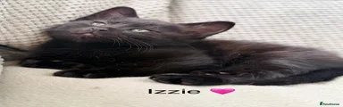 Izzie