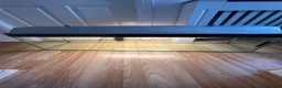 Turtle reptiles for sale: 2common musk turtles  in Halifax - Advert 7
