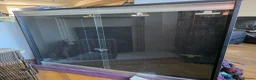 Mixed Breed reptiles for sale: Various snakes with set ups for sale in Andover - Advert 6