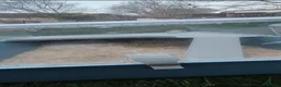 Hamster rodents for sale: Dwarf hamsters - Advert 2