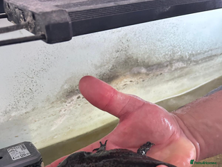 Other/Mixed Breed fish Axolotl “mexican walking fish” - Advert 11