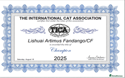 Ragdoll cats for sale: Waiting list open. TICA Champ bloodline litter 🐱  - Image 12