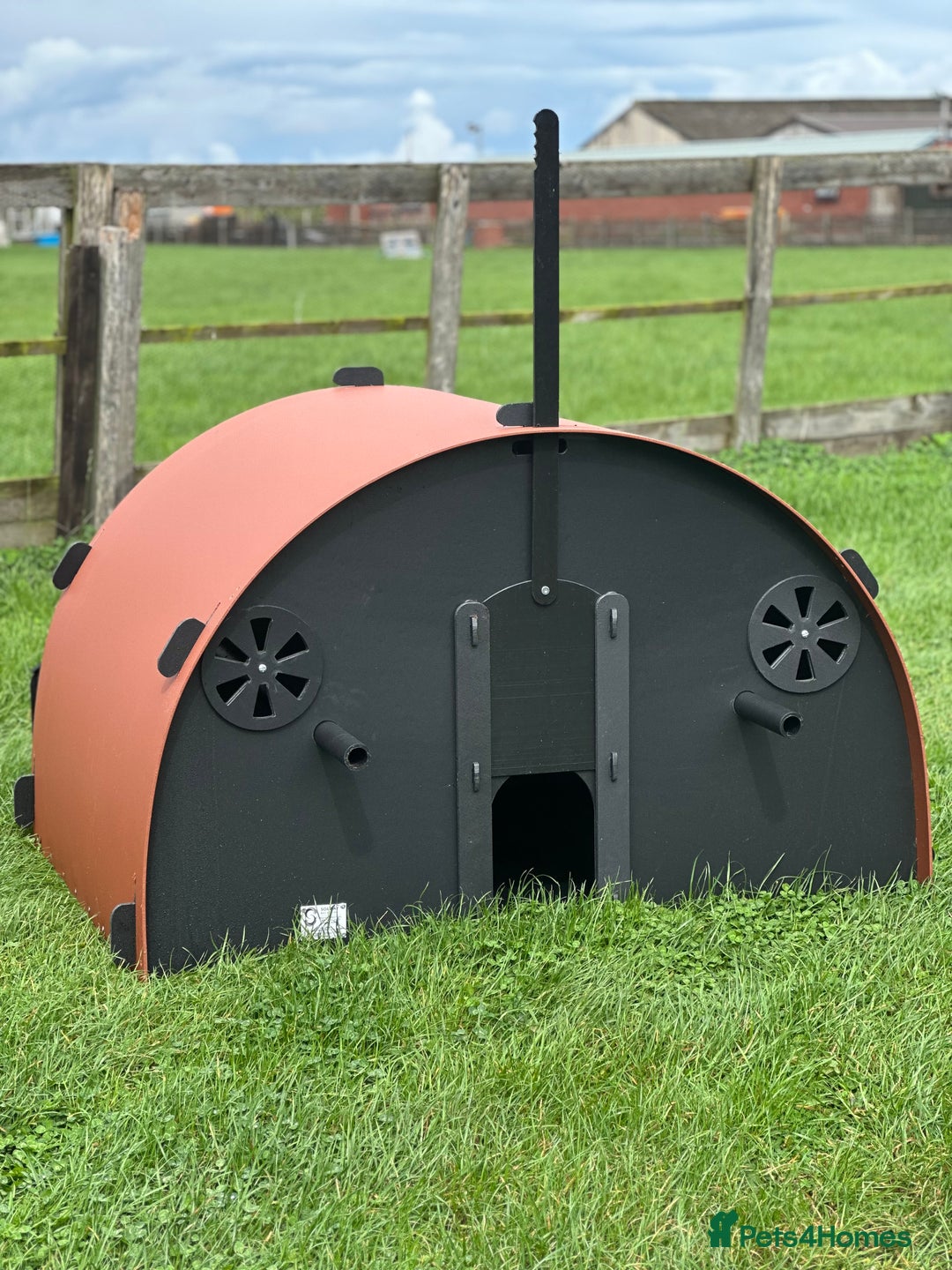 Chickens poultry for sale: Recycled Coops - NO maintenance - Image 12
