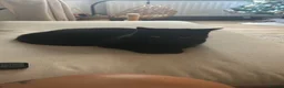 Mixed Breed cats for sale: Sweet girl, black cat for sale - Advert 3