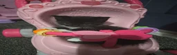 British Shorthair cats for sale: Stunning Kittens Ready For Forever Homes  - Advert 7