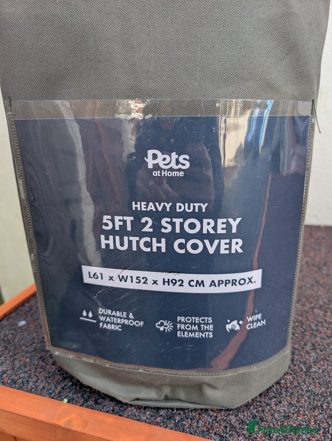 Mini Lop rabbits for sale: Rabbits for sale with everything  - Advert 7