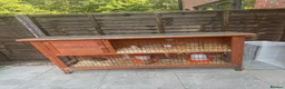 Quail poultry for sale: 5 quails 2 females 3 males including hutch. - Advert 1