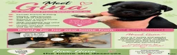 French Bulldog dogs for sale: KC beautiful  frenchies  - Advert 8