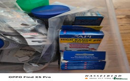 Cichlids fish for sale: Professional tropical aquarium set up - Image 14
