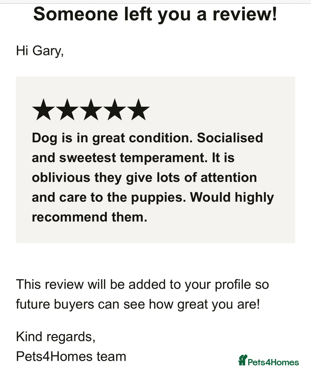 Golden Retriever dogs for sale: Health Tested, champion bloodlines Great with Kids - Advert 34